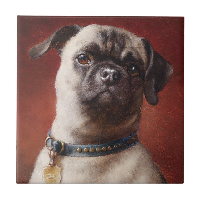 Mops Tile Kakelplatta (Framsidan)