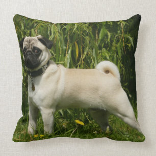 Mops tittar kamera kudde