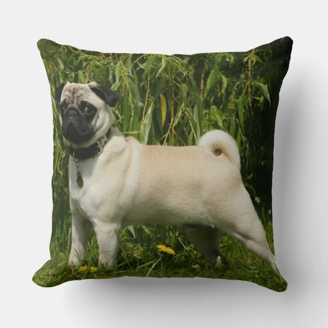 Mops tittar kamera kudde (Framsida)