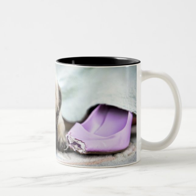 Mops tittar oskyldig, når den har tuggat av toen Två-Tonad mugg (Höger)
