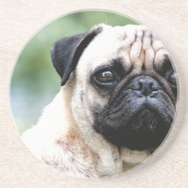 Mops Underlägg Sandsten (Framsidan)
