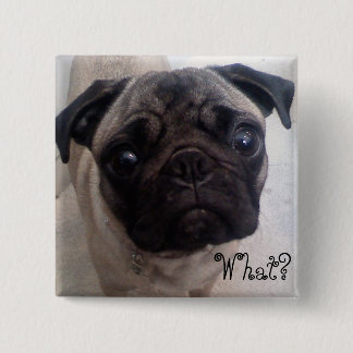 Mops vad? knapp