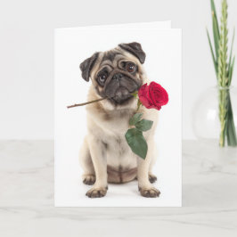 Mops Valentine Kort