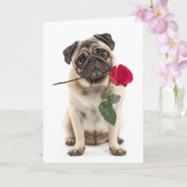 Mops Valentine Kort