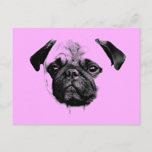 mops valp rosa vykort (Framsida)