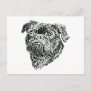 Mops Vykort