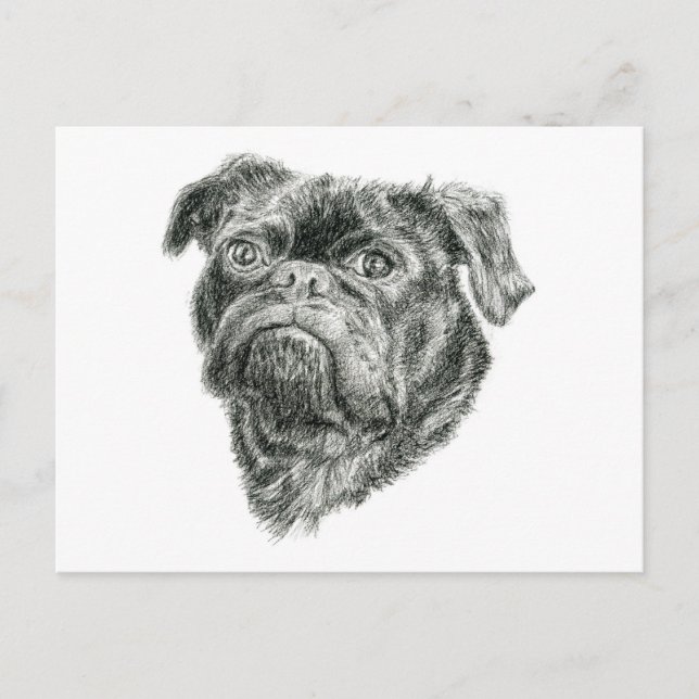 Mops Vykort (Framsida)