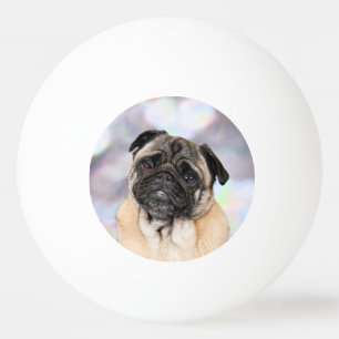 Mops - Willy Pingisboll