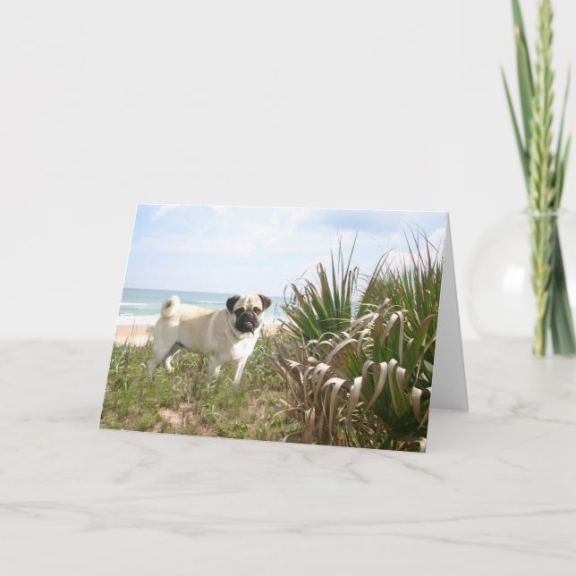 MopsBeachgrasskort Kort (Framsida)