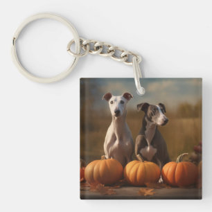 Mopsenhundvalp Höstglädje Pumpa