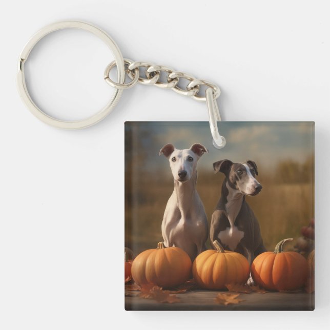 Mopsenhundvalp Höstglädje Pumpa (Framsidan)