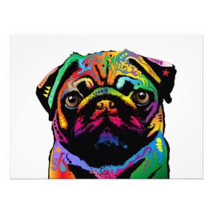 Mopshund Fototryck