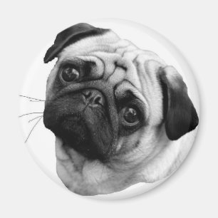 Mopshund Magnet