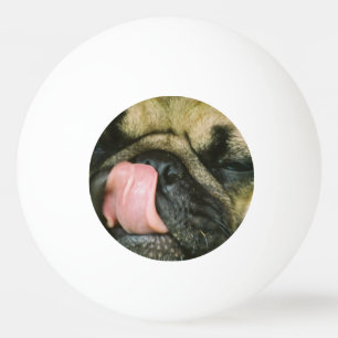 Mopshund Pingisboll