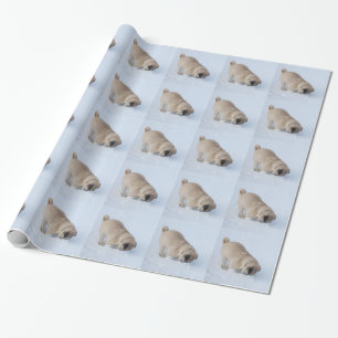 Mopshund som leker vintersnön presentpapper