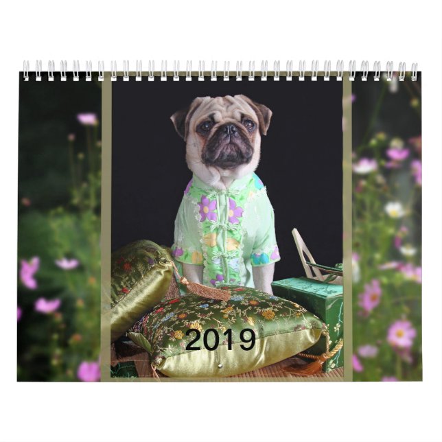 Mopskalender 2019 kalender (Omslag)