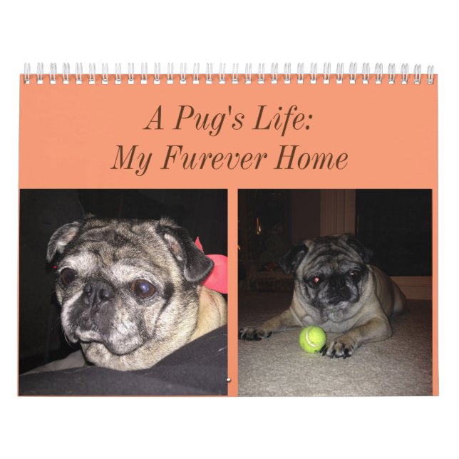 Mopskalender Kalender (Omslag)