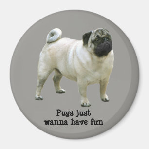 Mopsmagnet Magnet
