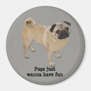 Mopsmagnet Magnet