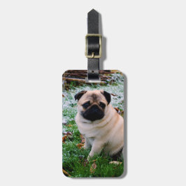 Mopsmellanlägg ditt egna foto bagagebricka