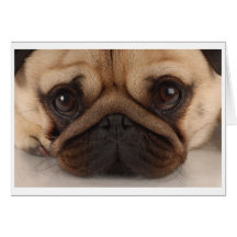 Mopsmuggkort