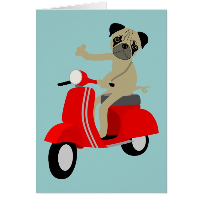 Mopssparkcykel Hälsningskort (Framsidan)