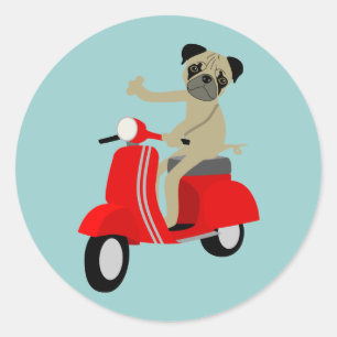 Mopssparkcykel Runt Klistermärke