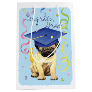 Mopsstudent