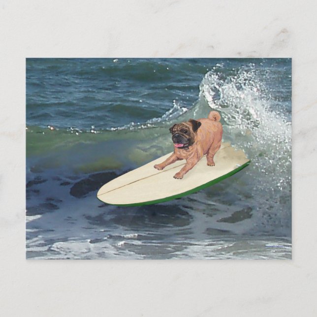 Mopsurfare dude vykort (Framsida)