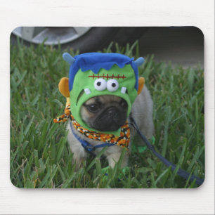 Mopsvalp Frankenpug Musmatta