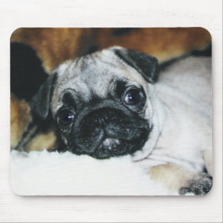Mopsvalp Mousepad Musmatta