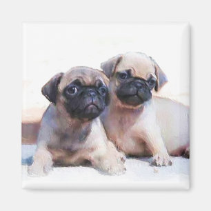 Mopsvalpmagnet Magnet
