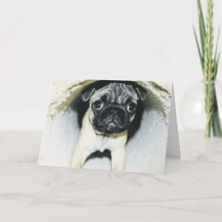 Mopsvalpvalentin kort för hälsning för dag #3