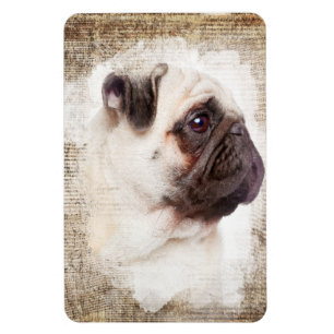 Mopsvintageporträtt Magnet