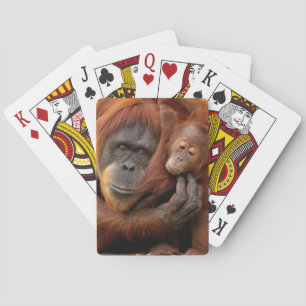 Mor & Baby Orangutan Spelkort