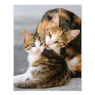 Mor Cat Kärlek Cute Kitten - Paperprint Fototryck
