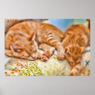 MOR CAT KITTEN NAP POSTER