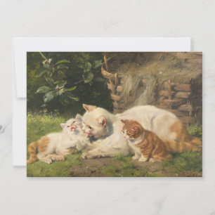 Mor Cat med Kittens Julius Adam the Younger