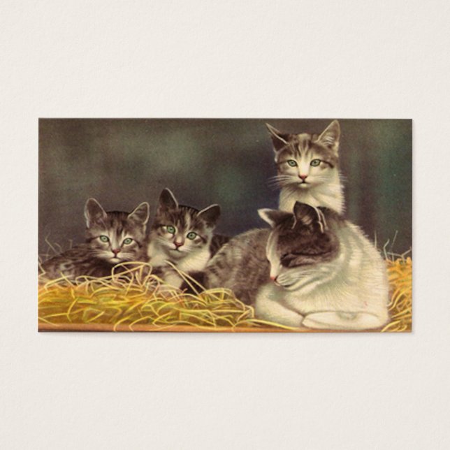 Mor Cat och Kittens Visitkort (Framsidan)
