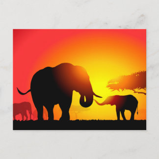 Mor & Child Elephants in Sunset Vykort