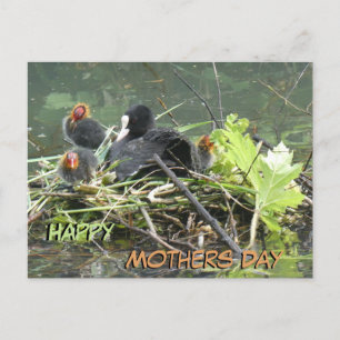 Mor Coot with Young Mors dag vycard Vykort