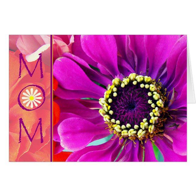 Mor dag med Lila Zinnia Flower Macro Photo Hälsningskort (Framsidan Horizontal)