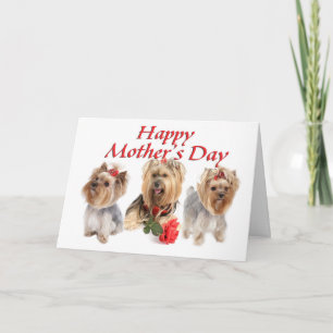 Mor Day Yorkies Kort