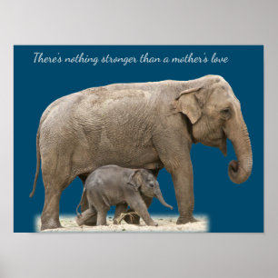 Mor Elefant och baby väggkonst