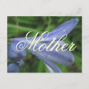 Mor Elegant Blå Blomma Postkort Vykort
