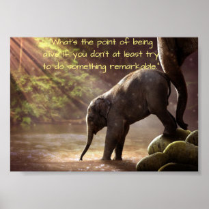 Mor Elephant och Kära Calf Poster