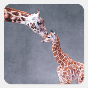 Mor för Getty bilder & babygiraff Fyrkantigt Klistermärke