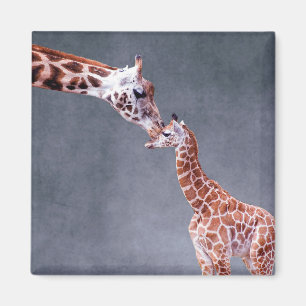 Mor för Getty bilder & babygiraff Magnet