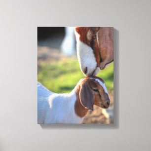 Mor Goat & Baby Canvastryck