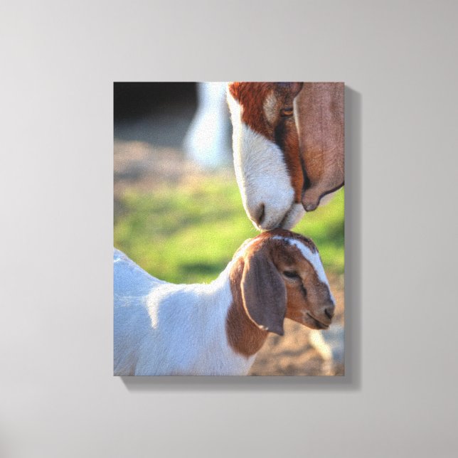Mor Goat & Baby Canvastryck (Framsida)